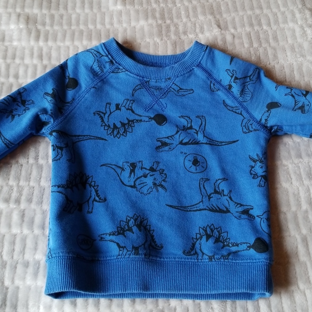Carter's Cute Dino Sweater